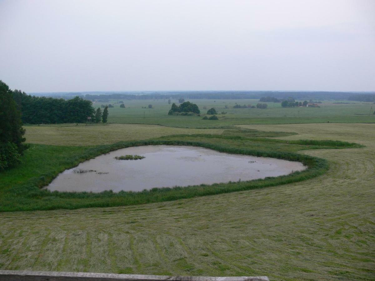 Villa Złota Leśniczówka Rydzowka Exterior foto